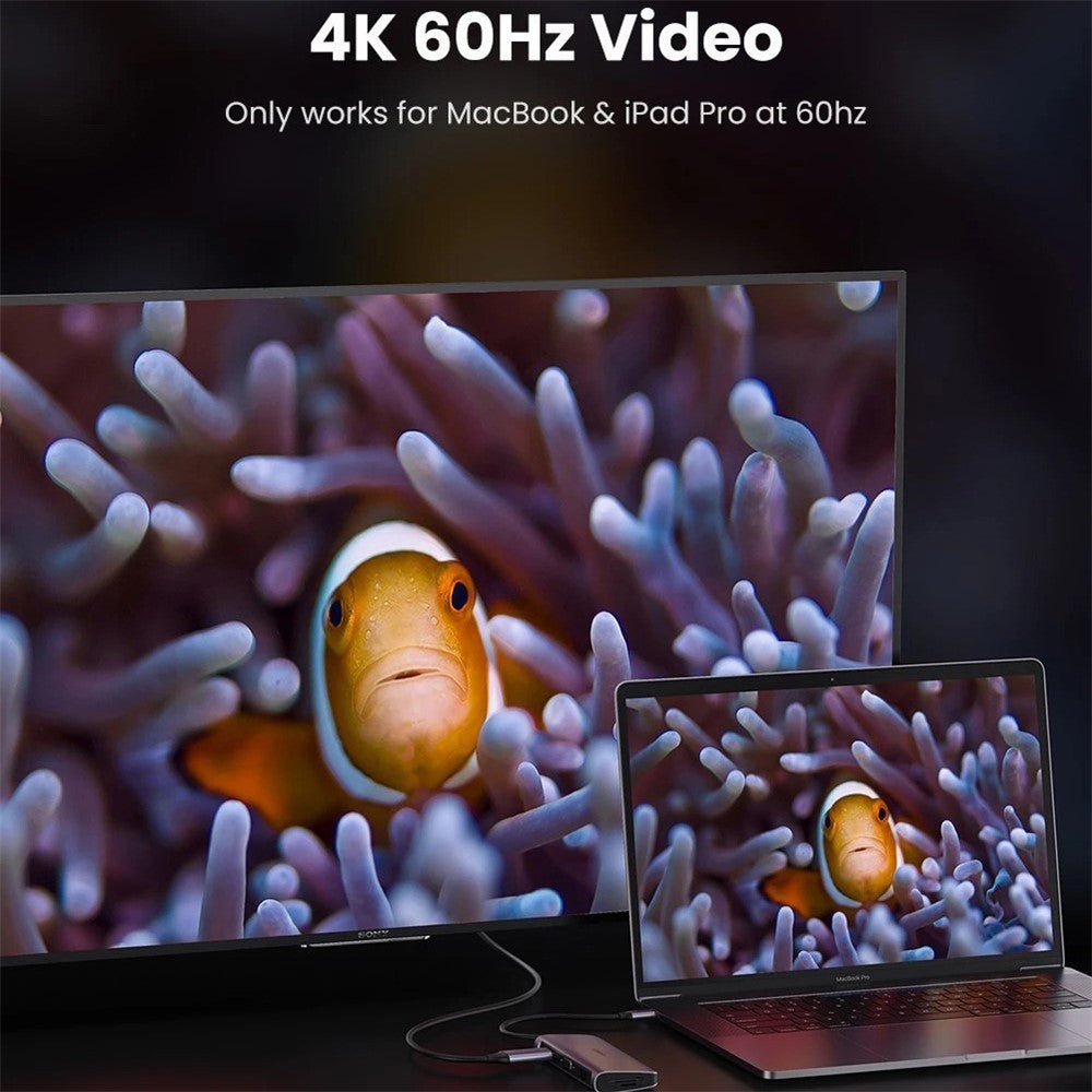 A large monitor and a tablet showing the same underwater scene, captioned 4K 60Hz video on MacBook and iPad Pro